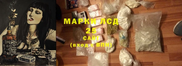 прущие крисы Бородино