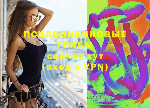 соль ск Бронницы