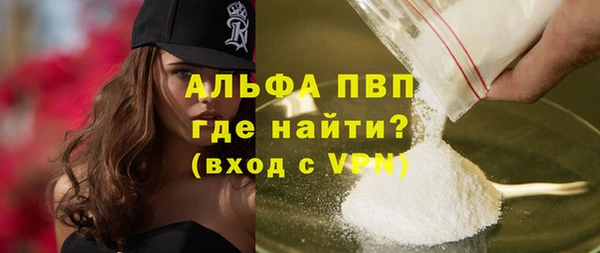 прущие крисы Бородино