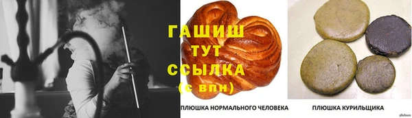 прущие крисы Бородино