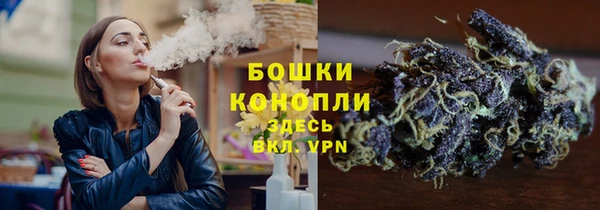 ешки Вуктыл